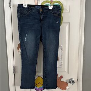 Democracy Dark Indigo Straight Leg Jeans